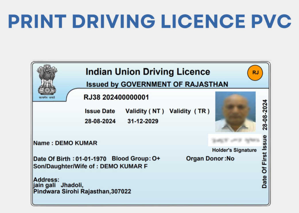 Driving Licence (Print)